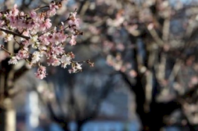 Nisan 2021 Vergi Takvimi