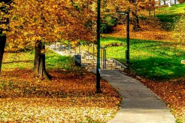 Kasım 2021 Vergi Takvimi