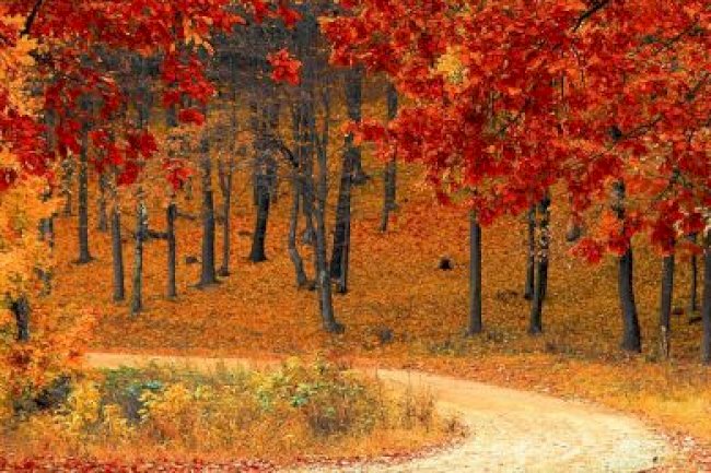 KASIM VERGİ TAKVİMİ