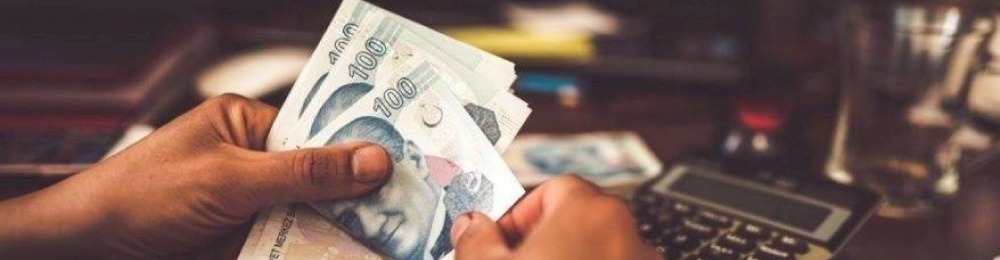 7351 Sayılı Kanun (Bireysel Emeklilik Tasarruf ve Yatırım Sistemi Kanunu İle Bazı Kanunlarda ve 375 Sayılı Kanun Hükmünde Kararnamede Değişiklik Yapılmasına Dair Kanun