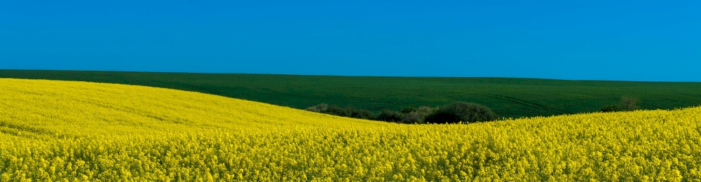 MART 2024 VERGİ TAKVİMİ