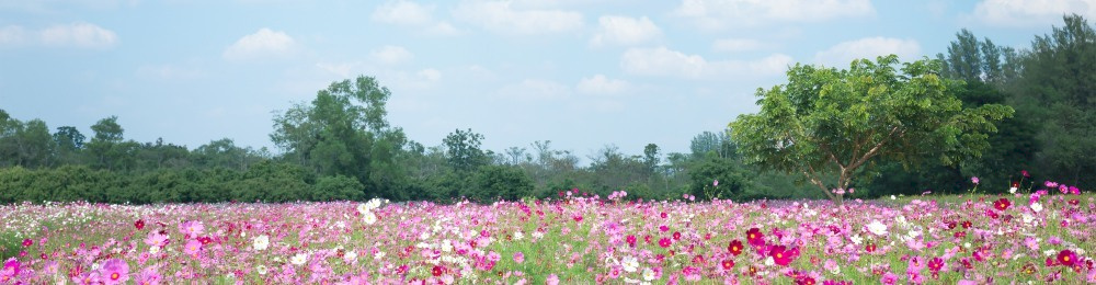 NİSAN 2024 VERGİ TAKVİMİ